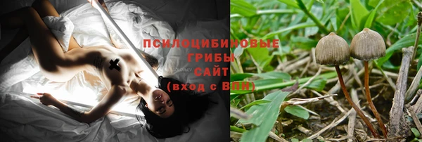 jwh Белокуриха