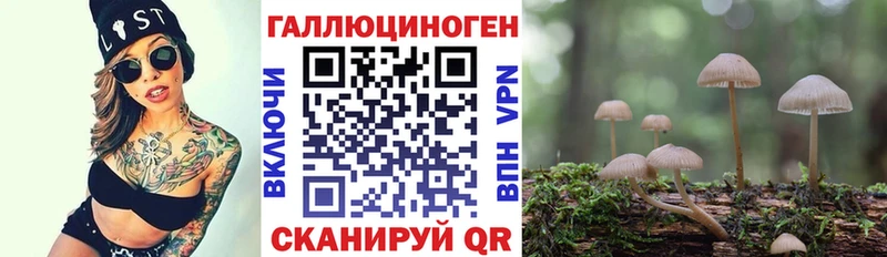 площадка телеграм  где купить наркоту  Горно-Алтайск  Псилоцибиновые грибы Psilocybine cubensis 