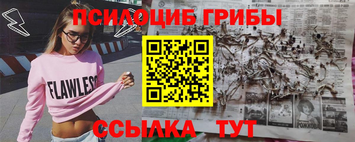 Галлюциногенные грибы Psilocybe  Вход с VPN  Галлюциногенные грибы мухоморы  Горно-Алтайск 