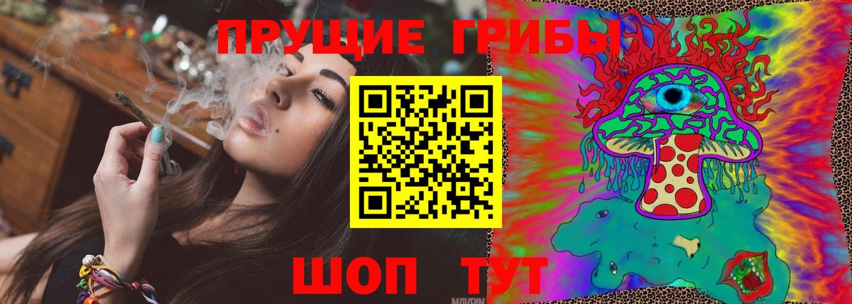 Галлюциногенные грибы Psilocybe Горно-Алтайск